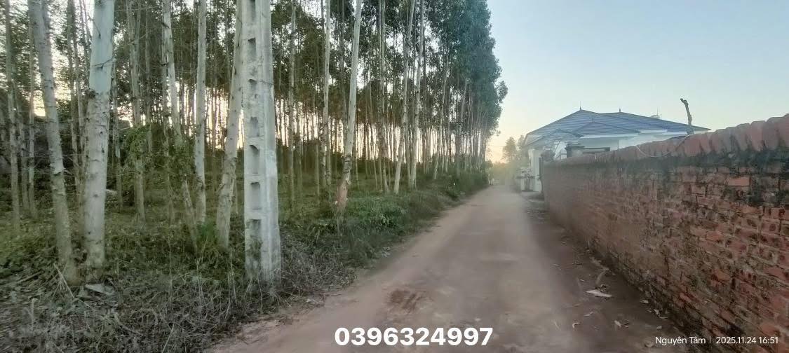 Đất nền xã Tam Dị, Lục Nam, Bắc Giang 1000m² - Mặt tiền siêu rộng 37m, Phân lô dễ dàng!