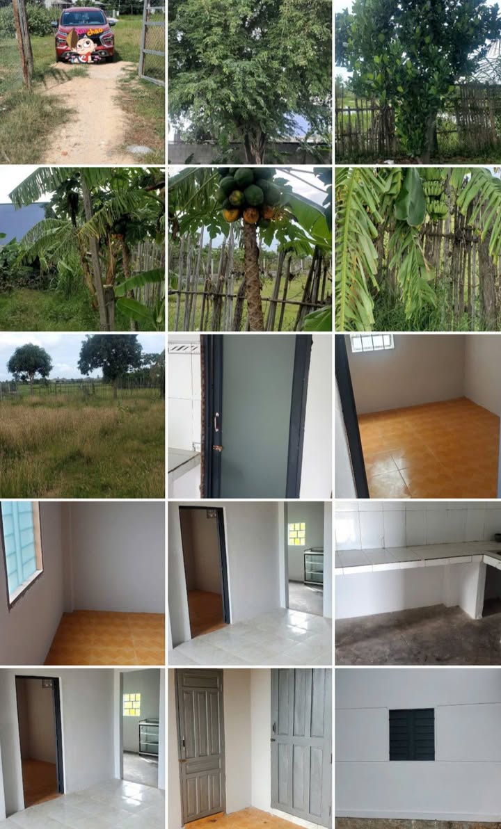 Bán đất 750m² tại An Thạnh 2, Ninh Phước chỉ 690 triệu - Nhà vườn mới đẹp!