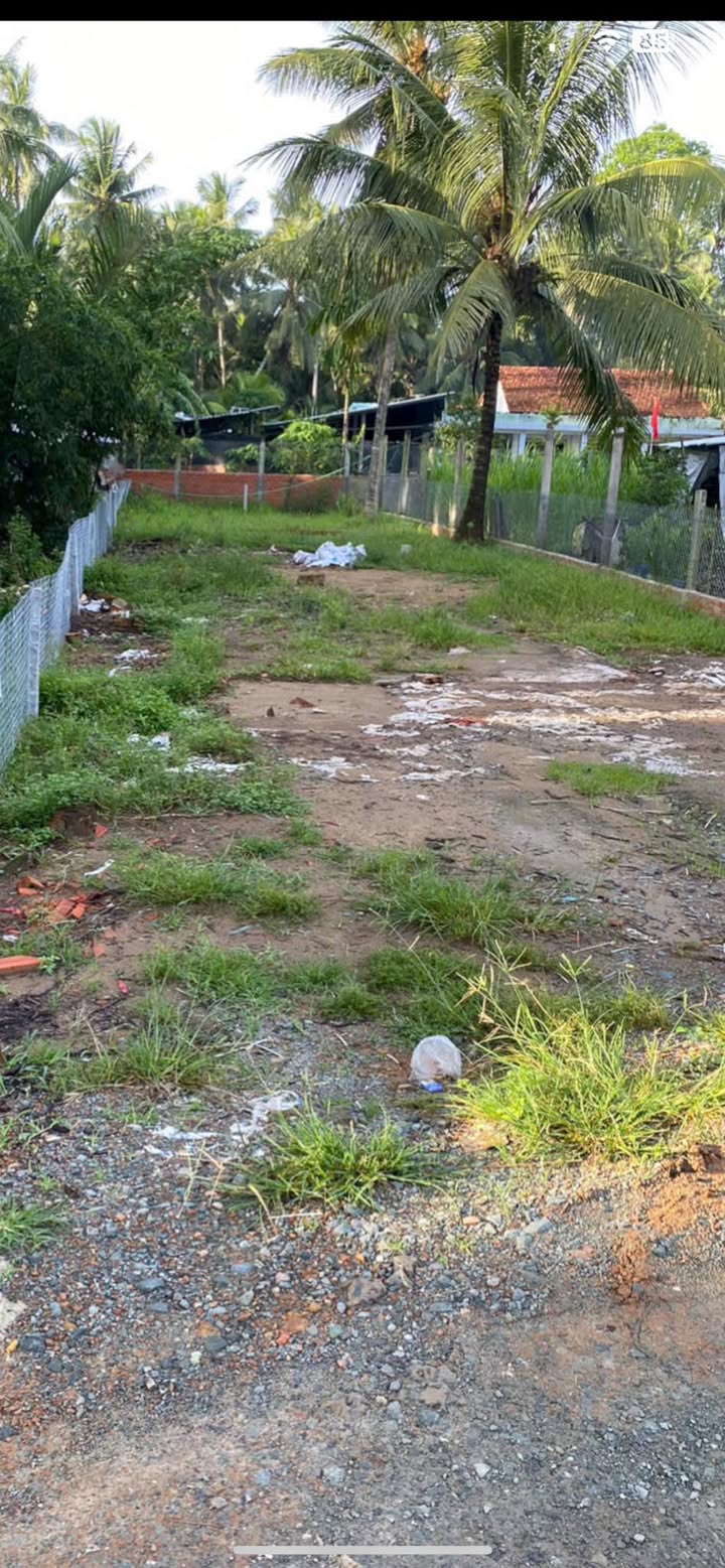 Đất mặt tiền huyện lộ 22, xã An Thới, Bến Tre 800m² giá 1.1 tỷ - Bán gấp ngay!