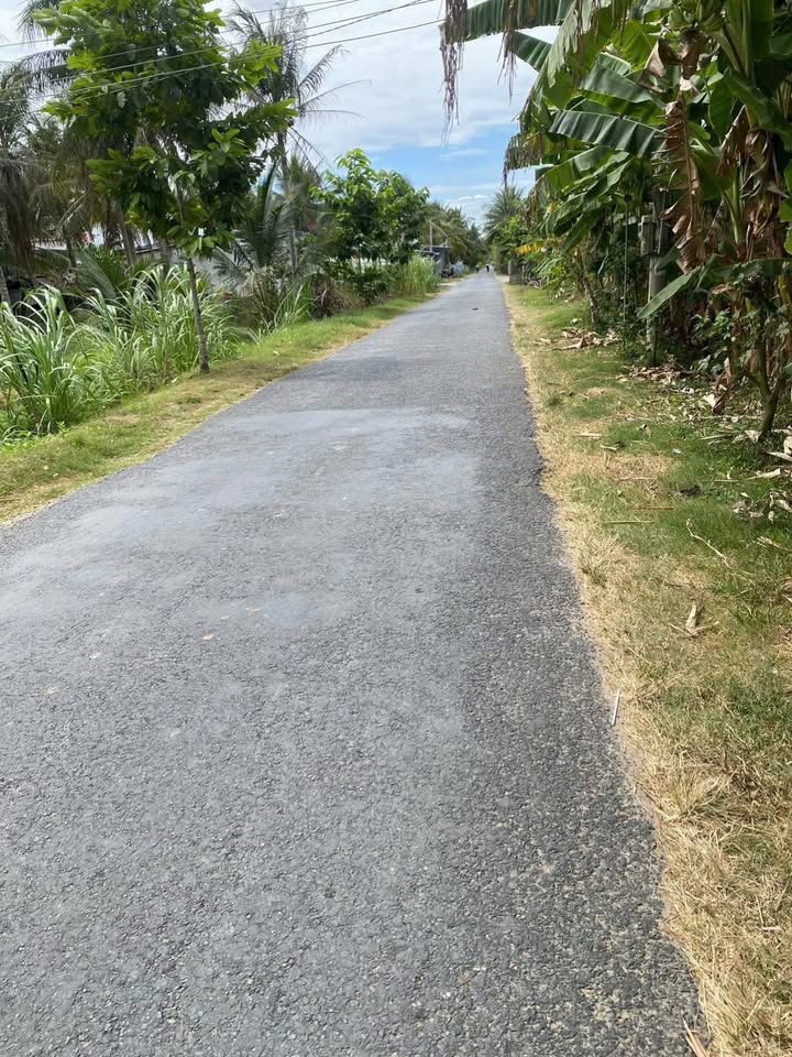 Đất mặt tiền tuyến tránh An Thới, Mỏ Cày Nam 1560m² giá 2 tỷ - Tiềm năng kinh doanh lớn!