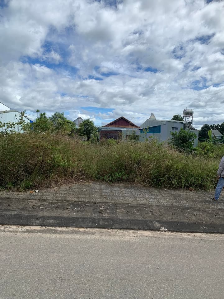 Đất thổ cư Nguyễn Trãi, Ngọc Hồi 125m² giá chỉ 1 tỷ - Cơ hội đầu tư tuyệt vời!