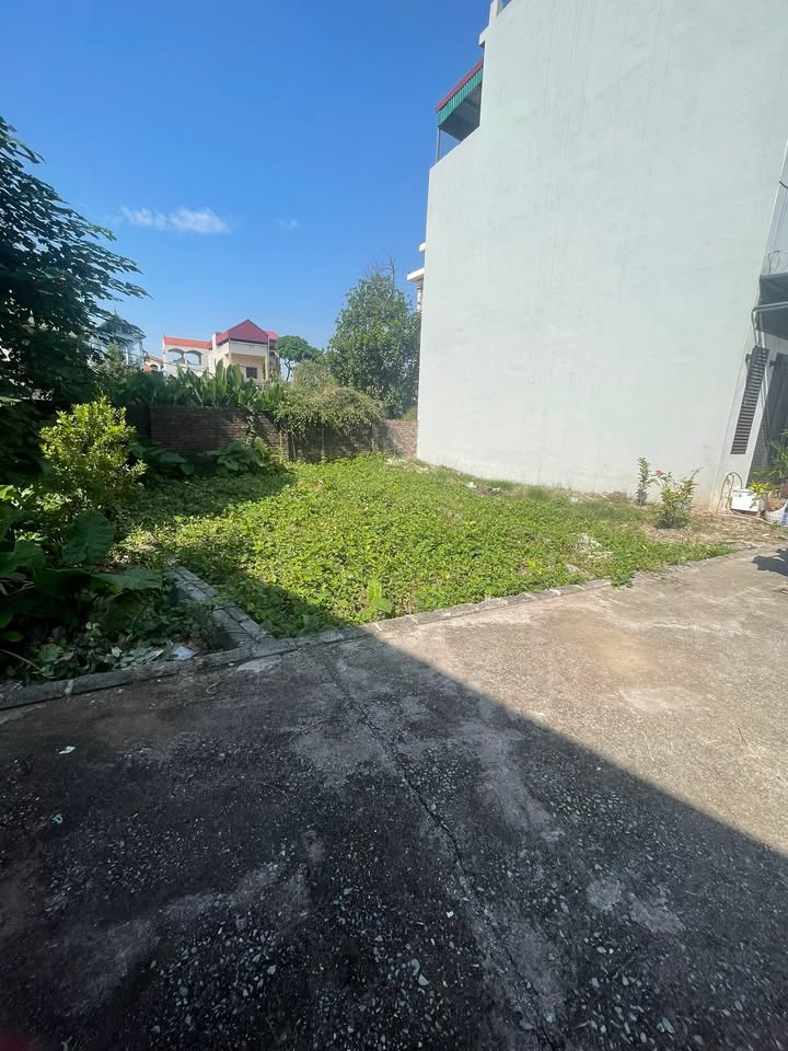 Đất Dương Tảo Hồng Vân Thường Tín 43.8m² giá 2 tỷ - Đầu tư sinh lời ngay!