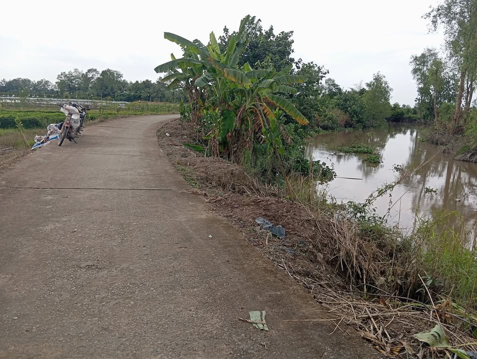 Đất nền Mỹ Thuận, Bình Tân 2165m² giá 800 triệu - Mặt tiền rộng, đầu tư sinh lời!