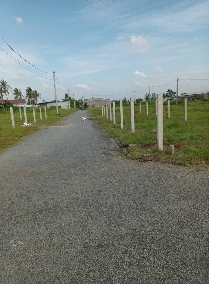 Đất nền Hòa Thuận, Trà Vinh 110m² giá 490 triệu - Mặt tiền đường nhựa rộng rãi!