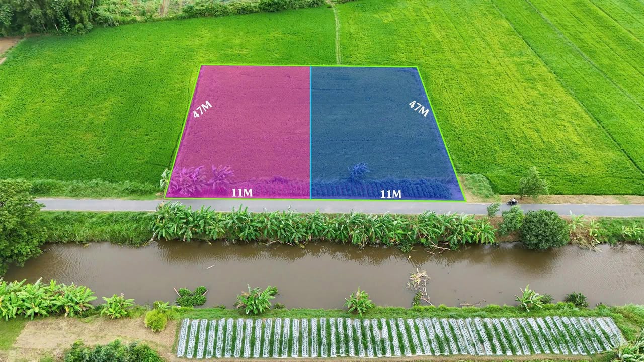 Đất nền xã Ngũ Lạc, huyện Duyên Hải, 517m² giá chỉ 385 triệu - Sổ hồng chính chủ!