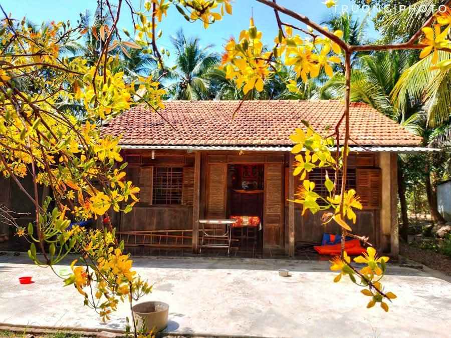 Nhà cho thuê nguyên căn tại Long Đức, Trà Vinh - 2 triệu/tháng, an ninh và thoáng mát!