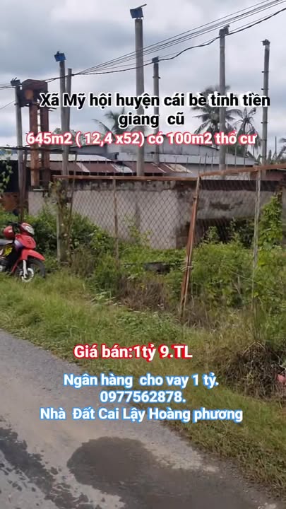 Đất nền Cái Bè Tiền Giang 645m² - Phù hợp xây dựng nhà nghỉ dưỡng!