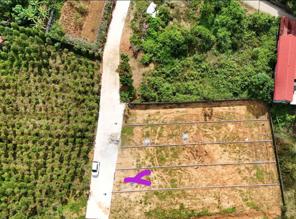 Đất nền Lan Mẫu Lục Nam 280m² giá chỉ 700 triệu - Đầu tư sinh lời ngay!