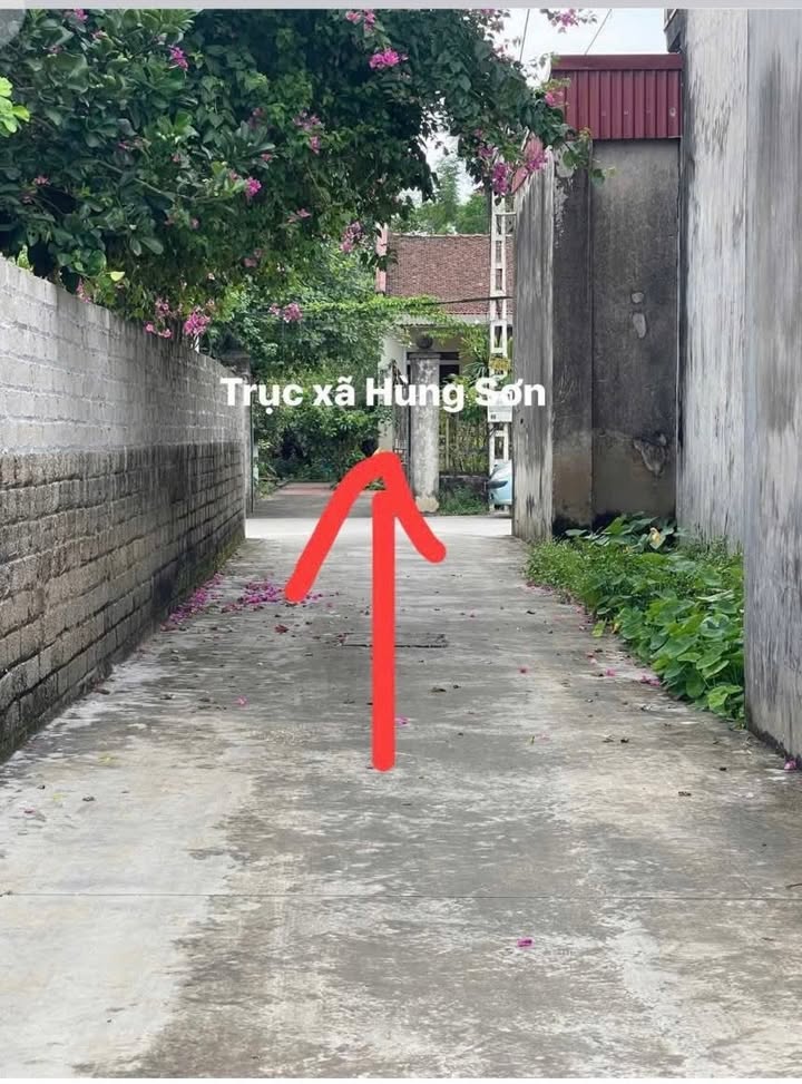 Đất thổ cư 736.8m² tại thôn Ngọc Tân, Hiệp Hòa - Giá chỉ 1 tỷ VND!