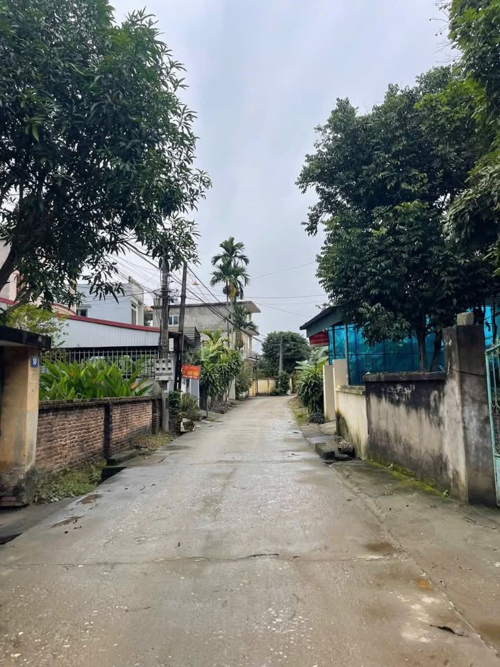 Bán đất tặng nhà cấp 4 An Tường 478.8m² giá nhỉnh 2 tỷ - Cơ hội đầu tư hấp dẫn!