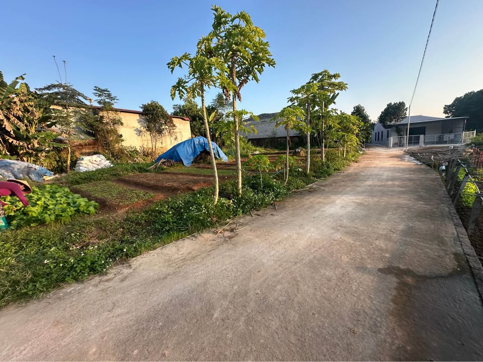 Đất nền Linh Sơn Thái Nguyên 88m² giá 600 triệu - Đầu tư sinh lời hấp dẫn!