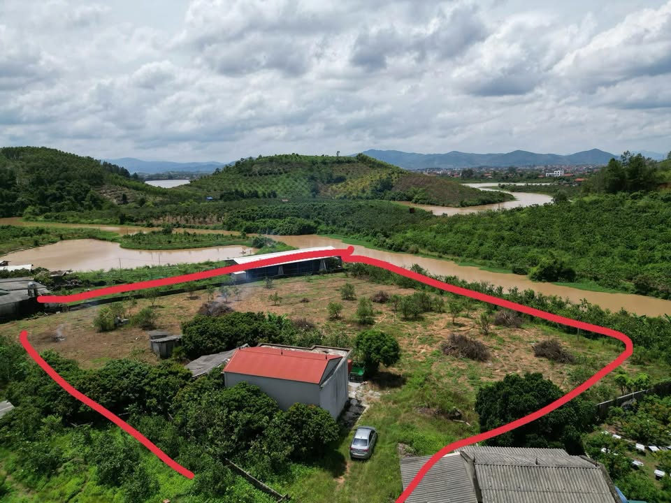 Đất farm Giáp Sơn, Lục Ngạn 3266m² - Bám hồ phong thủy, giá rẻ hấp dẫn!