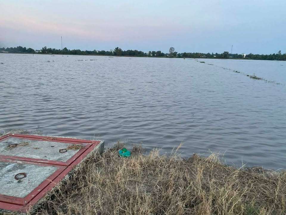 Đất lúa quy hoạch ở xã Châu Thành An Giang 4934m² giá 1.5 tỷ - Đầu tư sinh lời ngay!