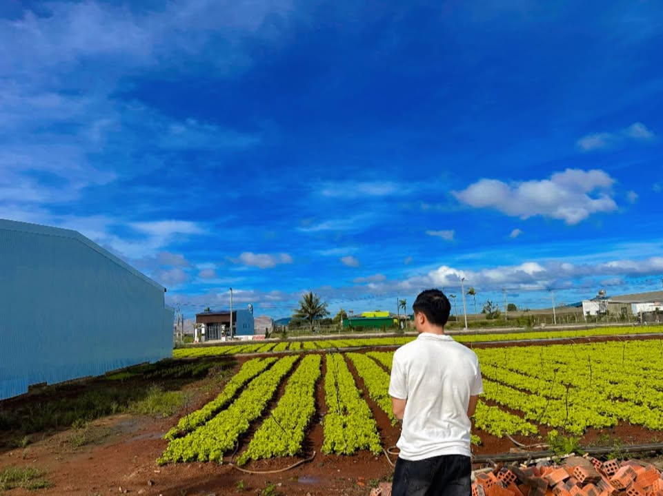 Đất nền Đạ Ròn, Đơn Dương 156m² giá 800 triệu - View rừng thông tuyệt đẹp!