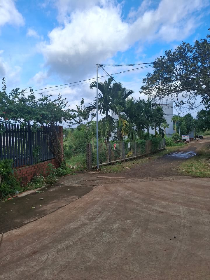 Đất nông nghiệp 1500m² phường Thành Nhất, Buôn Ma Thuột - Sổ đỏ chính chủ, giá chỉ 3.85 tỷ!