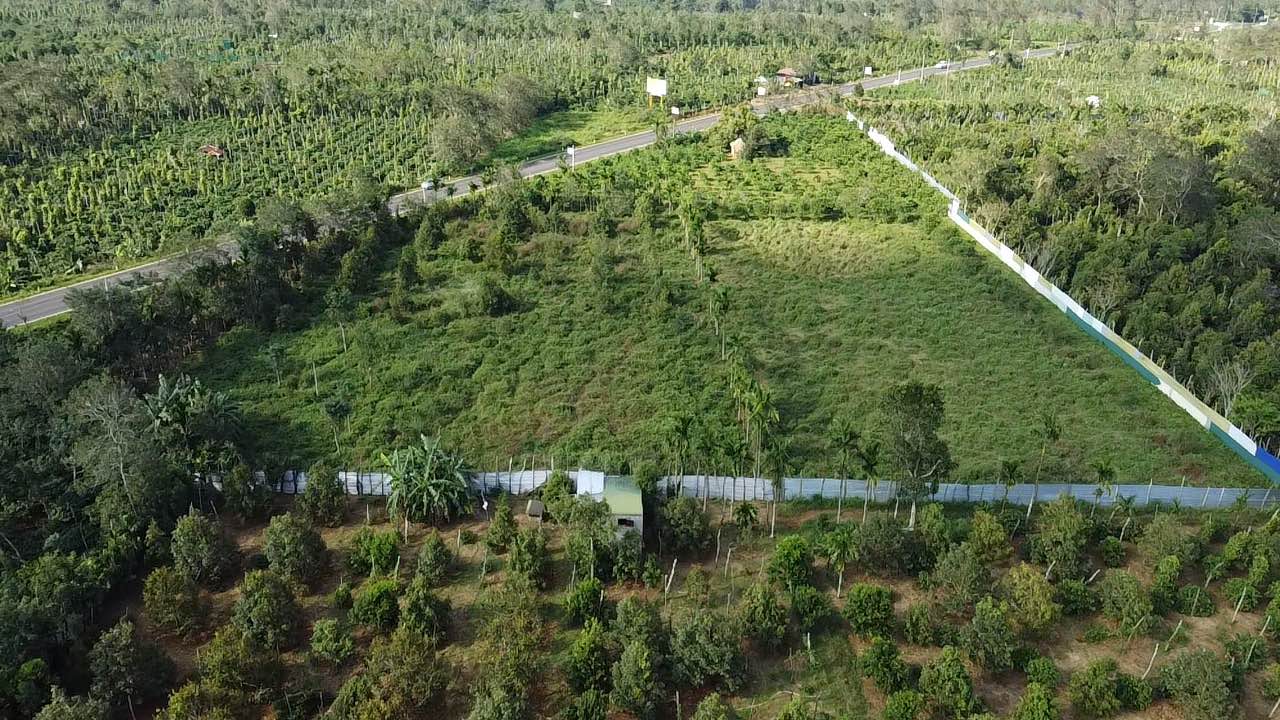 Đất nền 1,2 héc ta tại Đường Tránh Buôn Hồ - Giá chỉ 5.76 tỷ - Vị trí đắc địa!