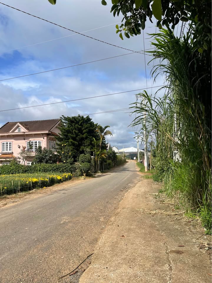 Đất nền Đà Lạt 313m² giá 8.5 tỷ - Đầu tư sinh lời cao!