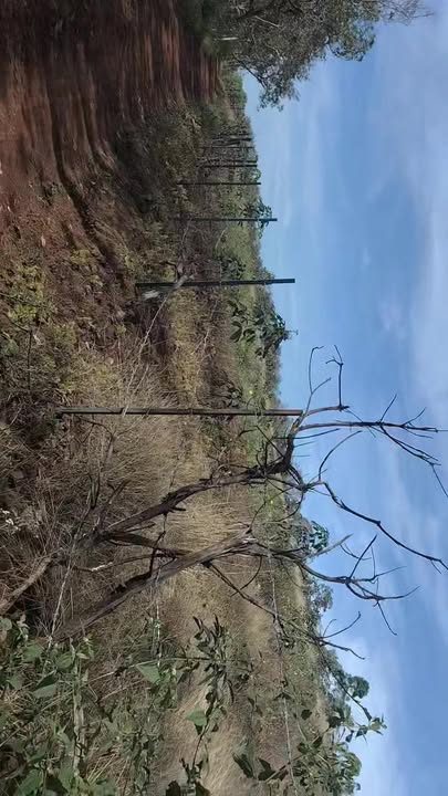 Đất nền Thọ Sơn, Bù Đăng 18.000m² giá 2 tỷ - Cơ hội đầu tư lý tưởng!