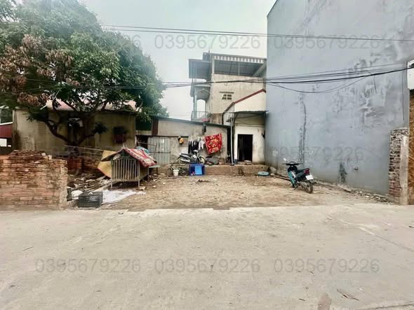 Đất thổ cư 50m² tại Phụng Châu, Chương Mỹ - Vị trí đắc địa, kinh doanh thuận lợi!