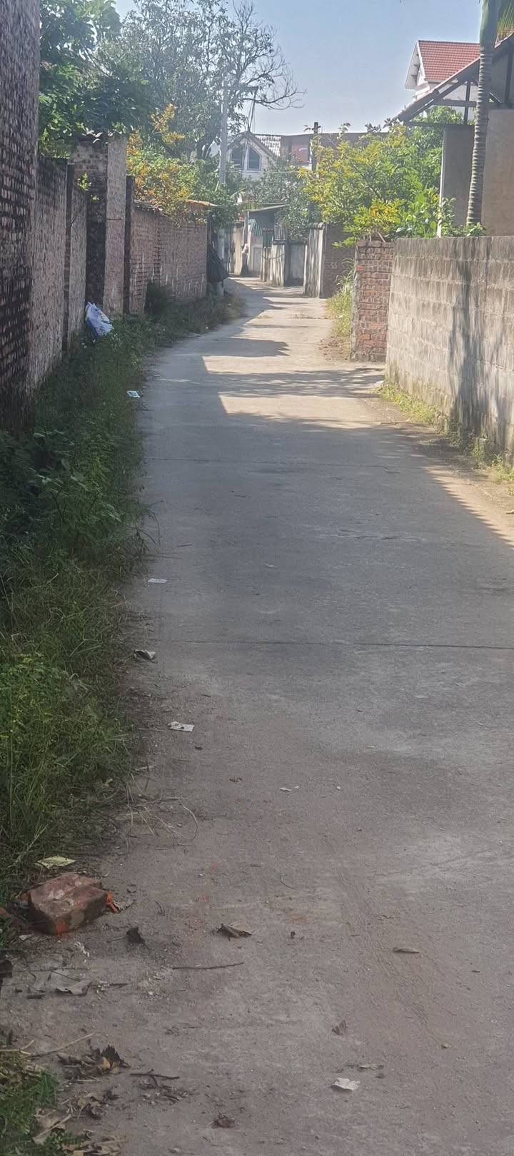 Đất nền Đào Viên Quế Võ 120m² giá chỉ 1.x tỷ - Đầu tư sinh lời ngay!