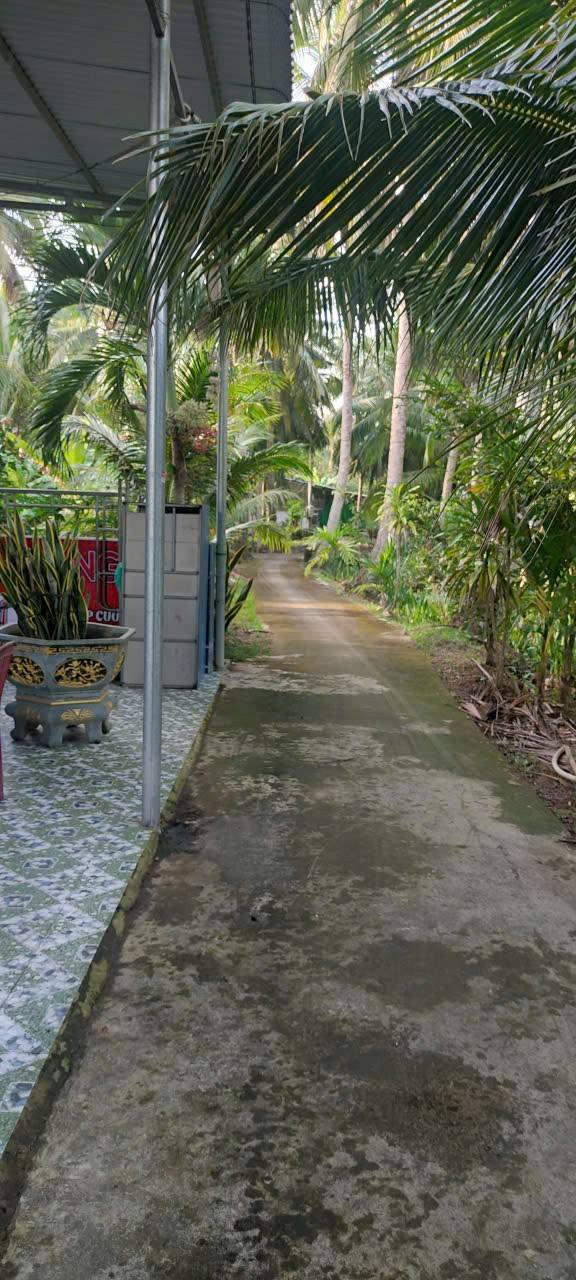 Đất vườn An Hội Vĩnh Long 1327m² giá 980 triệu - Cơ hội đầu tư tuyệt vời!