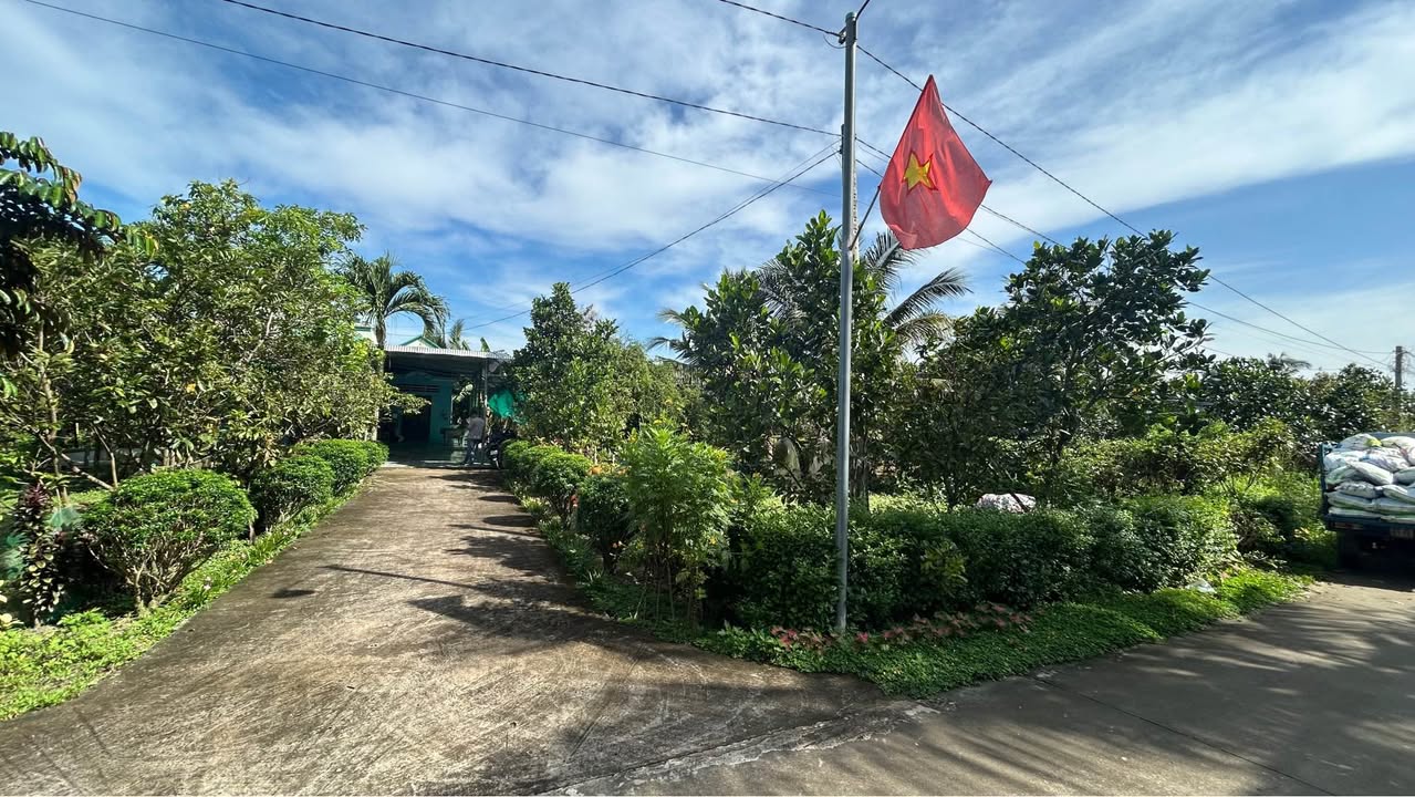 Lô đất thổ cư 3.200m² tại xã Phú Hòa, giá 1.65 tỷ - Cơ hội đầu tư tuyệt vời!