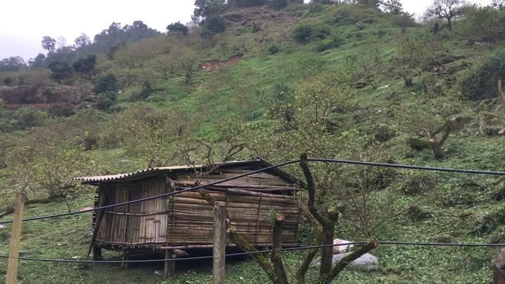 Đất nền Mộc Châu 7000m² - Sở hữu ngay vị trí đắc địa!