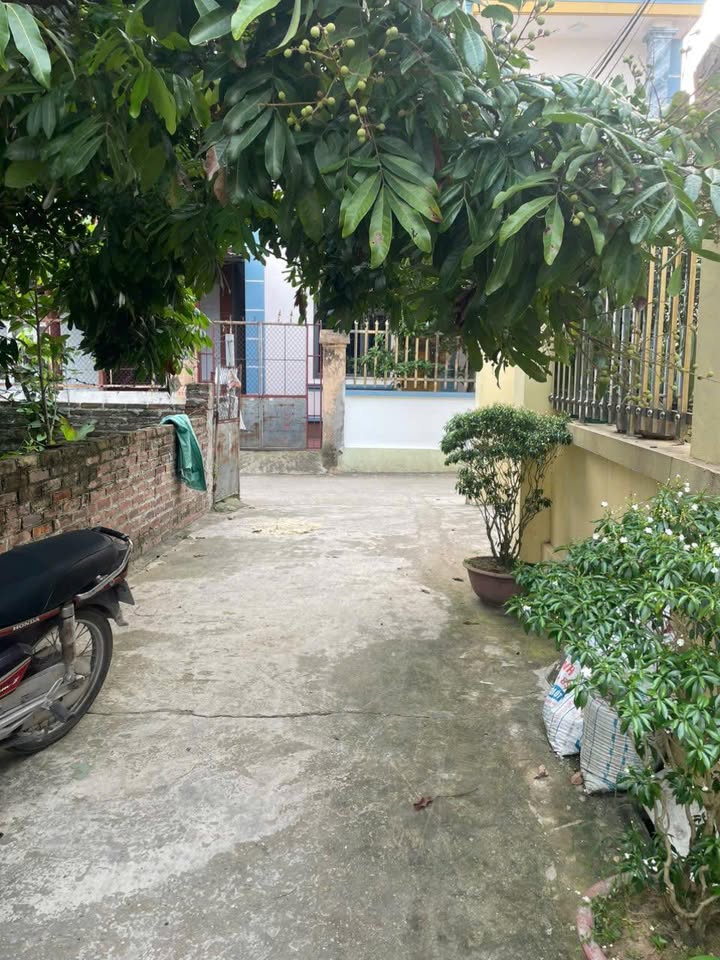 Đất nền Đông Xuân, Sóc Sơn 75m² - Đường thông ô tô vào tận nơi!