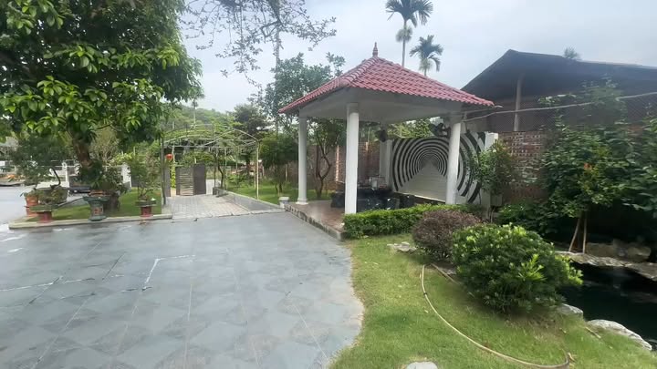 Đất nền mặt tiền đường bê tông 1330m² tại Vùng II - Đền Hùng, Phú Thọ - Cơ hội đầu tư hiếm có!