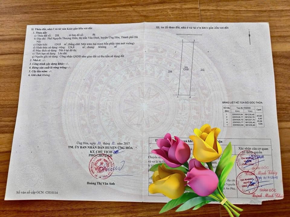 Đất nền mặt tiền Nguyễn Thượng Hiền, Vân Đình 124m² giá 3 tỷ - Đầu tư sinh lời ngay!