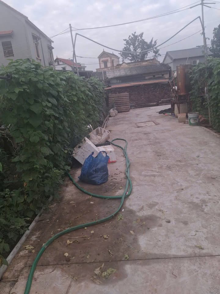 Đất nền Tự Nhiên, Thường Tín 113m² giá 4 tỷ - Đường ô tô vào tận nơi!