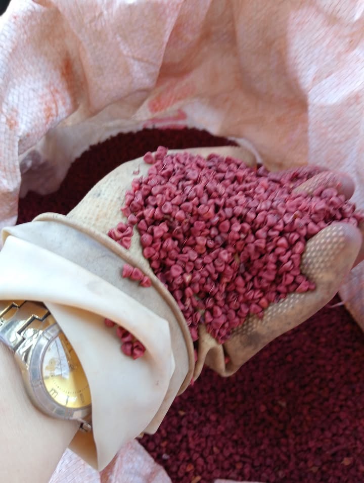 Đất thổ cư 442m² xã Bảo Thuận, Di Linh - Giá chỉ 4.729 tỷ, sẵn nhà đẹp!