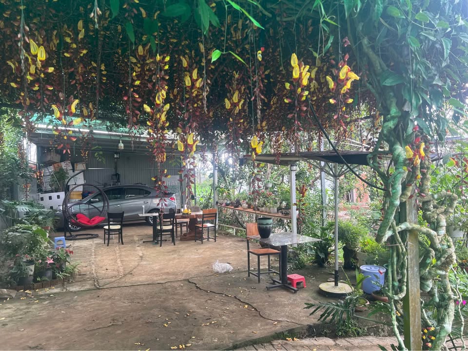 Đất nền 617m² hẻm 129 đường 1/5 phường B'Lao - Đầu tư sinh lời