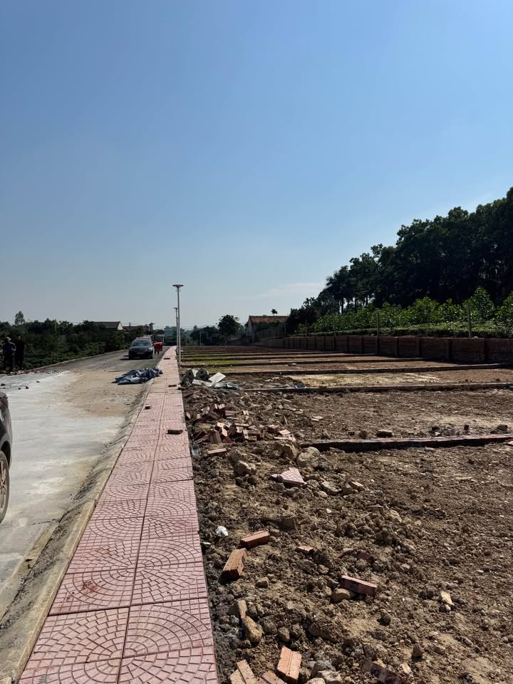 Đất thổ cư 100m² tại Cẩm An, Ba Vì chỉ 200 triệu - Cơ hội đầu tư tuyệt vời!