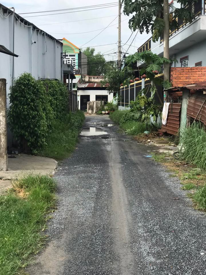 Đất thổ cư 272m² Tân Thạnh Đông, Củ Chi giá 3.6 tỷ - Đường xe hơi vào thoải mái!