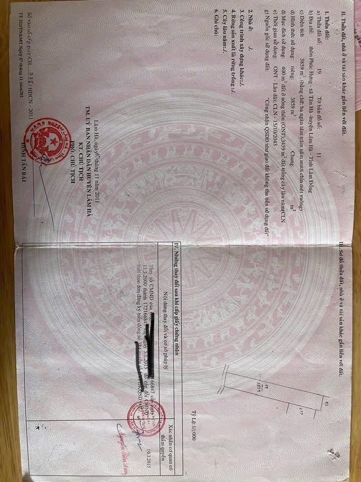 Đất nền 3.900m² tại Tân Hà, Lâm Hà - Giá chỉ 3.4 tỷ VND!