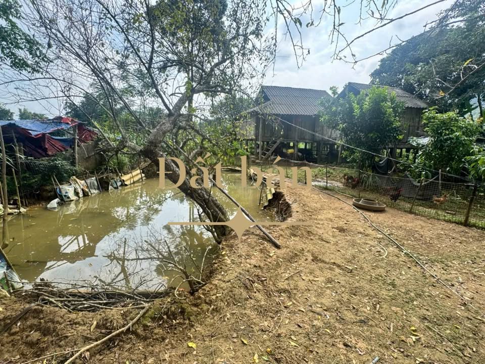 Đất nghỉ dưỡng 2000m² tại Ba Khan, Mai Châu - Giá chỉ 900 triệu VND!