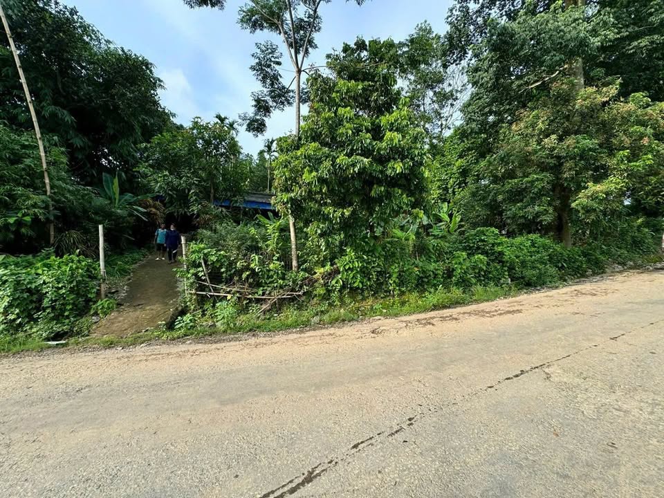 Đất thổ cư Sào Báy Kim Bôi 200m² giá 1 tỷ - Sẵn tách thửa