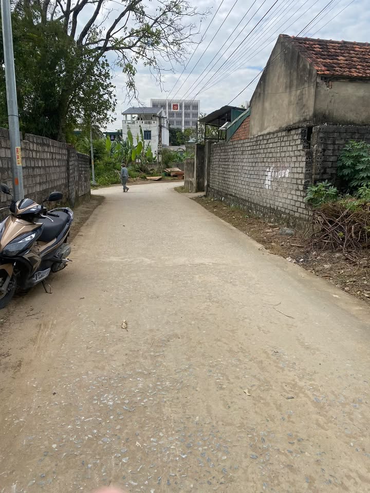 Bán 3 lô đất tại phường Quảng Châu, Sầm Sơn - Giá đầu tư chỉ 1 tỷ!