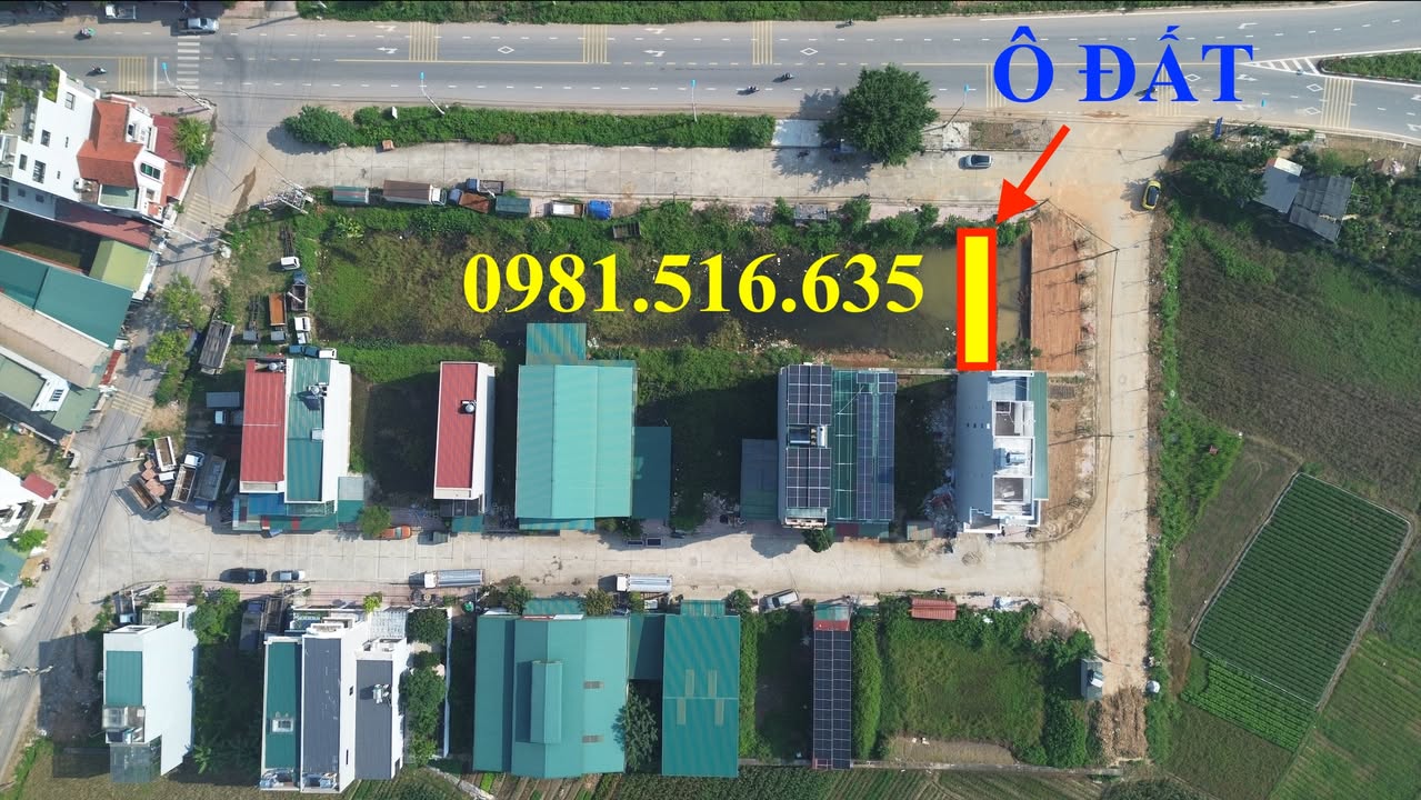 Đất nền xã Tam Hồng, Yên Lạc 100m² giá 4 tỷ - Vị trí đắc địa kết nối khu công nghiệp!