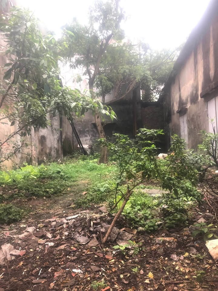 Đất nền phố Trần Quang Diệu Thái Bình 66.4m² giá 1.7 tỷ - Đầu tư sinh lời ngay!