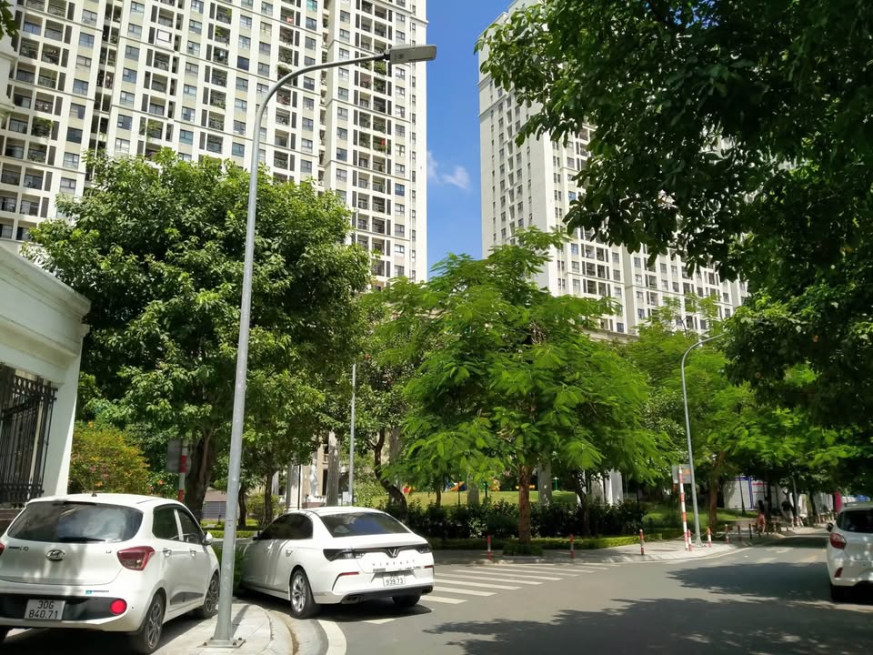 Nhà liền kề Roman Plaza Tố Hữu 80m² giá 40 triệu - Kinh doanh thuận lợi!