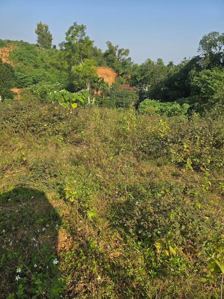 Đất Minh Quang Ba Vì 2600m² giá 5.2 tỷ - View núi đồi tuyệt đẹp!