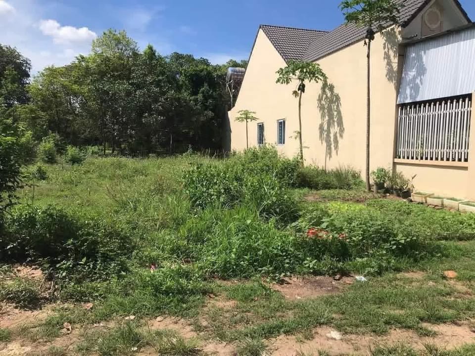 Đất nền Xuân Trường, Xuân Lộc 150m² giá 1.2 tỷ - Đầu tư sinh lời ngay!