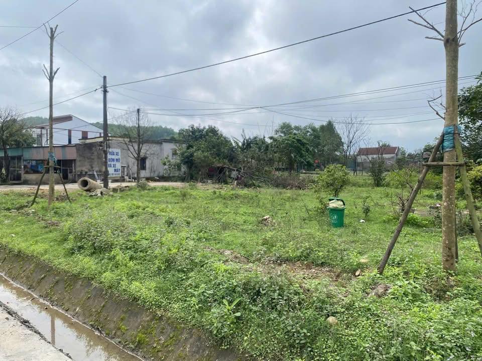 Đất nền Quốc lộ 1A, Kỳ Trinh 330m² giá chỉ 3xx triệu - Cơ hội đầu tư hấp dẫn!