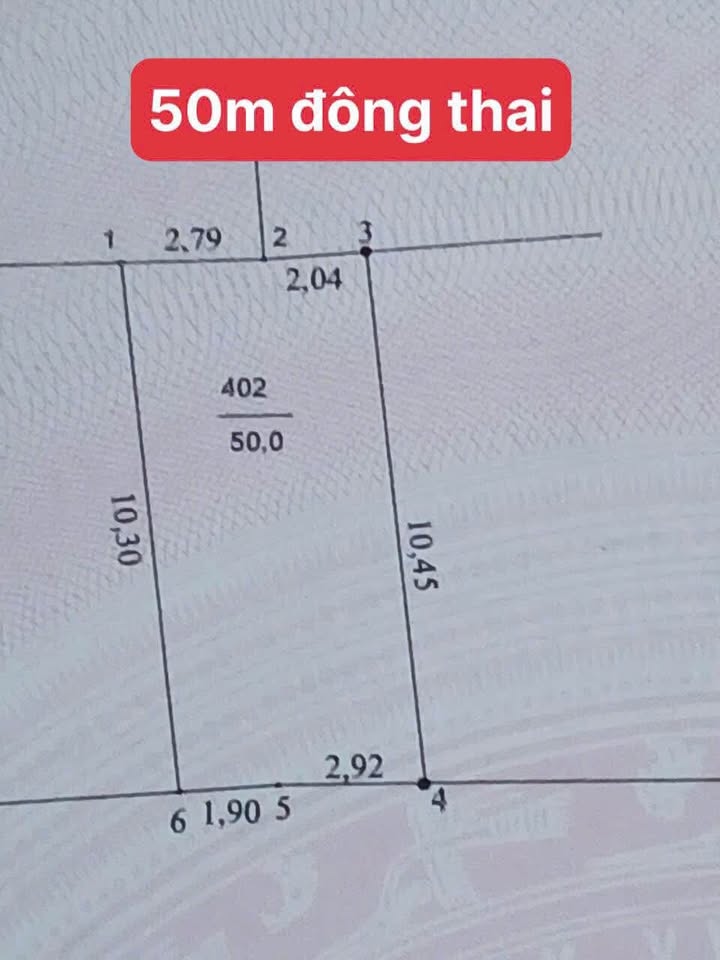 Đất Vân Tảo Thường Tín 50m² giá 3 tỷ - Kinh doanh tuyệt vời, ô tô đỗ cửa!