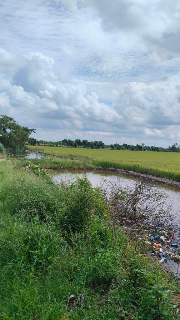 Đất mặt tiền kênh Đòn Dong 8 công - Giá 1.12 tỷ, đầu tư sinh lời!