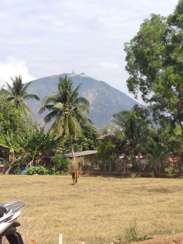 Đất thổ cư 165m² xã Phan, Dương Minh Châu giá 310 triệu - Sổ hồng riêng, cơ hội đầu tư!