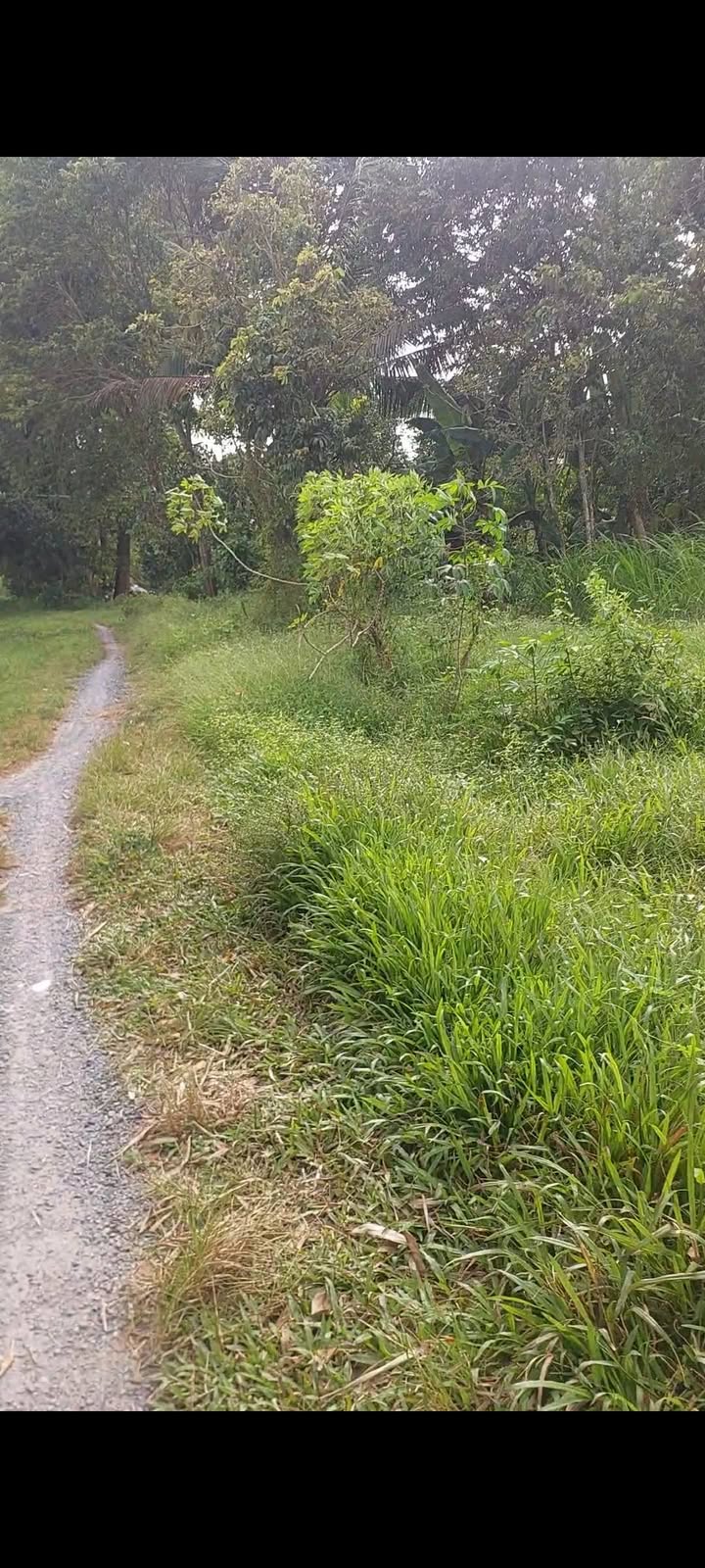 Đất thổ cư Trảng Bàng 160m² giá 800 triệu - Đầu tư sinh lời ngay!