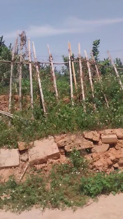 Đất thổ cư 2160m² tại Thôn Đoàn Kết, Lục Ngạn, Bắc Giang - Chính chủ bán nhanh!